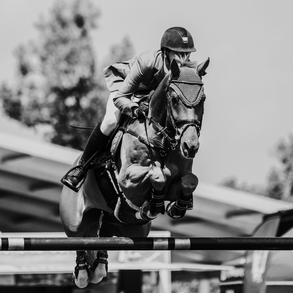 Soldier In Milan wins the Irish Grand National