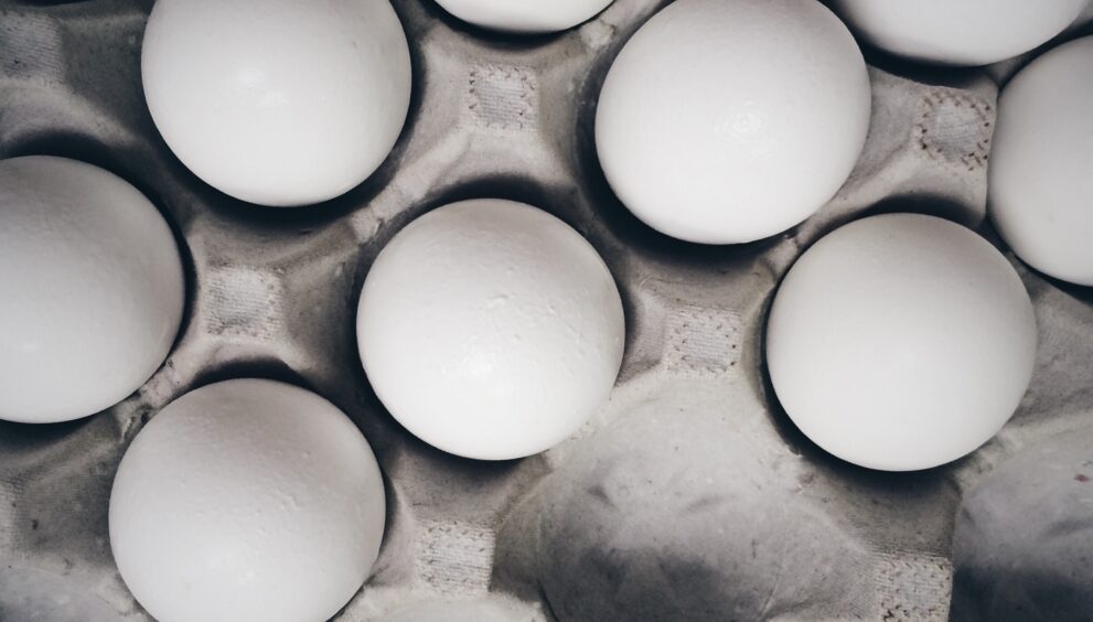 This is how our protein needs change as we age